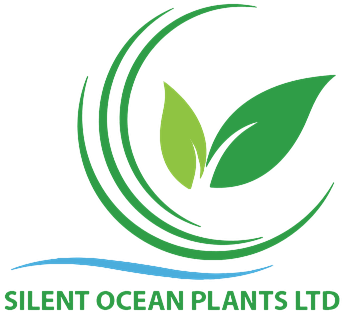 Silent Ocean Plants Ltd